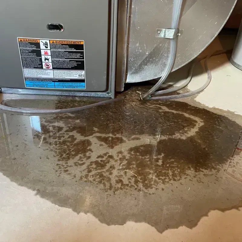 Appliance Leak Cleanup in McGehee, AR